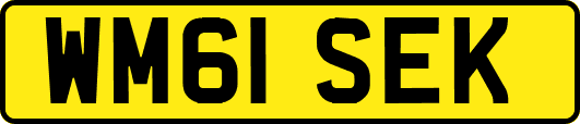 WM61SEK