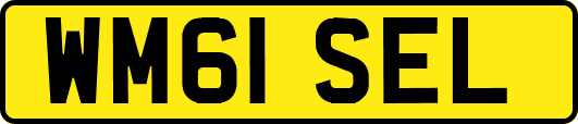 WM61SEL