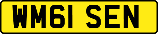 WM61SEN