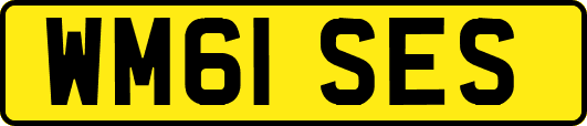 WM61SES