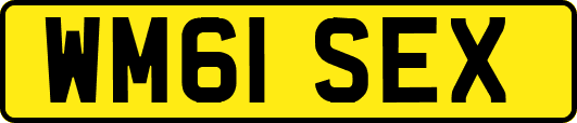 WM61SEX
