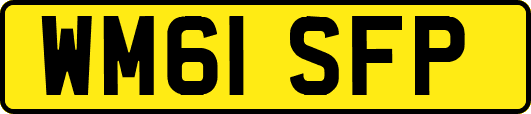 WM61SFP