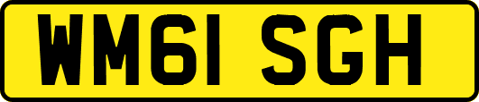 WM61SGH
