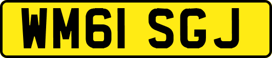 WM61SGJ