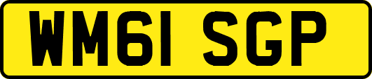 WM61SGP
