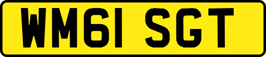 WM61SGT