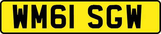 WM61SGW