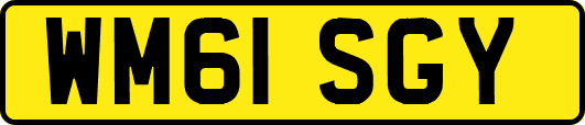 WM61SGY
