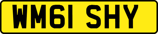 WM61SHY