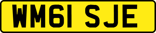 WM61SJE