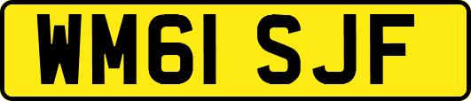 WM61SJF