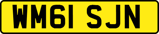 WM61SJN