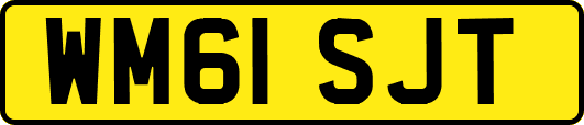 WM61SJT