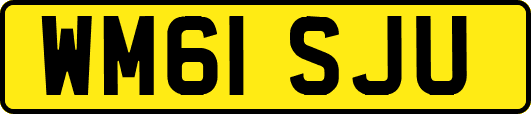 WM61SJU