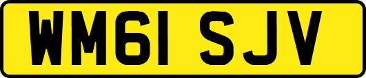 WM61SJV