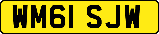WM61SJW