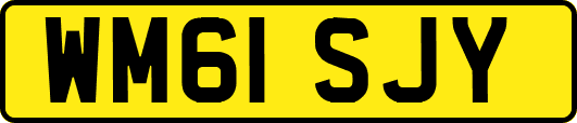 WM61SJY