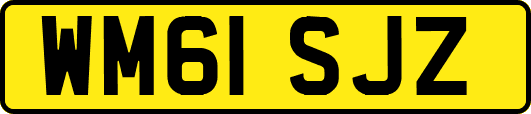 WM61SJZ