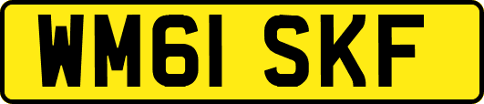 WM61SKF