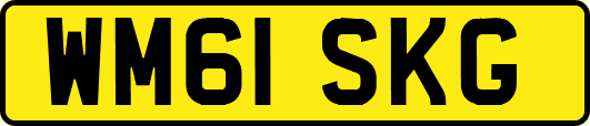WM61SKG