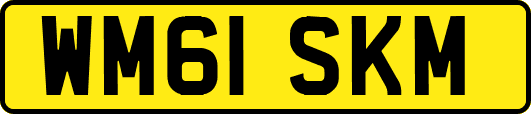 WM61SKM