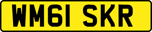 WM61SKR