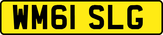 WM61SLG