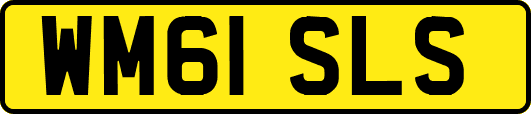 WM61SLS
