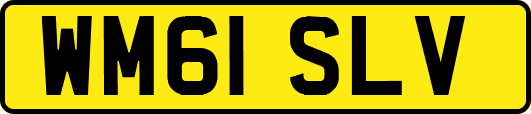 WM61SLV