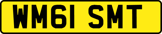 WM61SMT