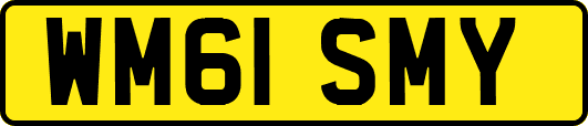 WM61SMY