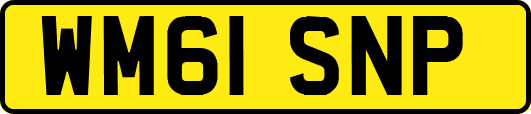 WM61SNP