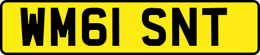 WM61SNT