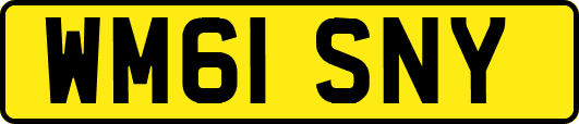 WM61SNY