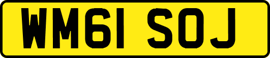 WM61SOJ
