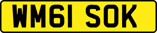 WM61SOK