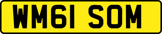 WM61SOM