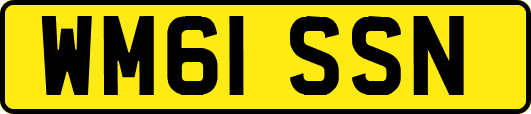 WM61SSN