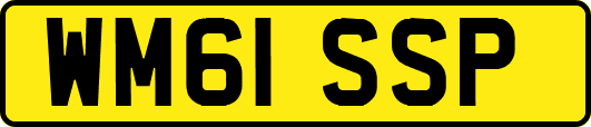 WM61SSP