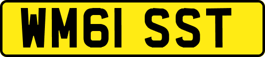 WM61SST