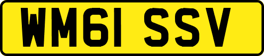 WM61SSV