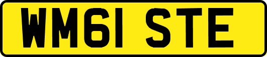 WM61STE