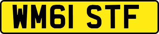 WM61STF