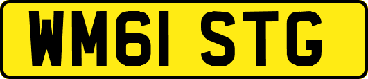 WM61STG