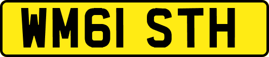 WM61STH
