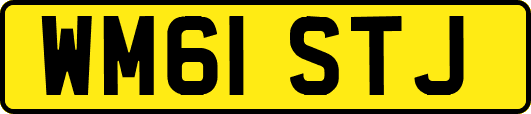WM61STJ