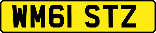 WM61STZ