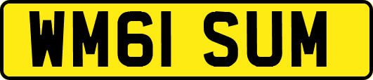 WM61SUM