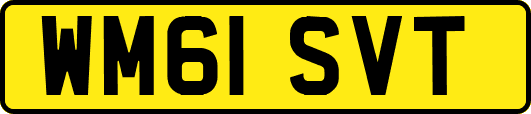 WM61SVT