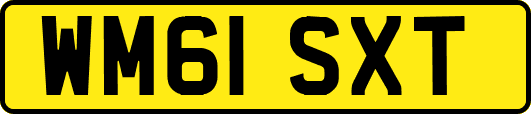 WM61SXT